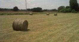 While you can’t starve profit into a hay field, there may be some options.